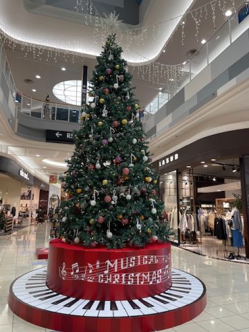 ワクワクする季節🎅