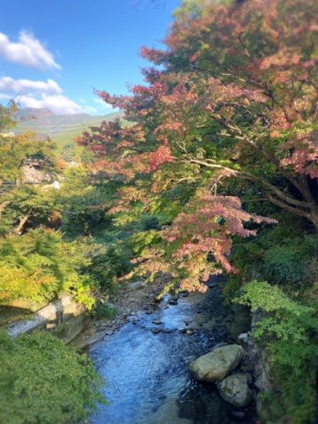 あっという間の師走